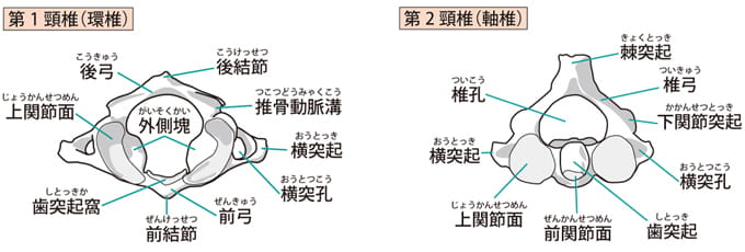 首骨折の後遺症 後遺障害の認定基準と賠償金額算定について弁護士が解説 アディーレ法律事務所