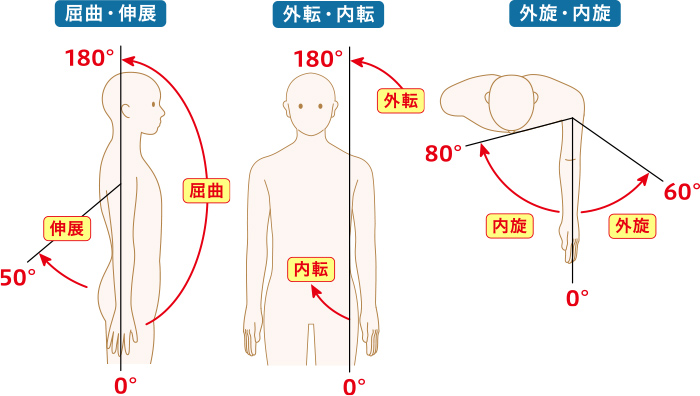 肩関節の可動域測定の図