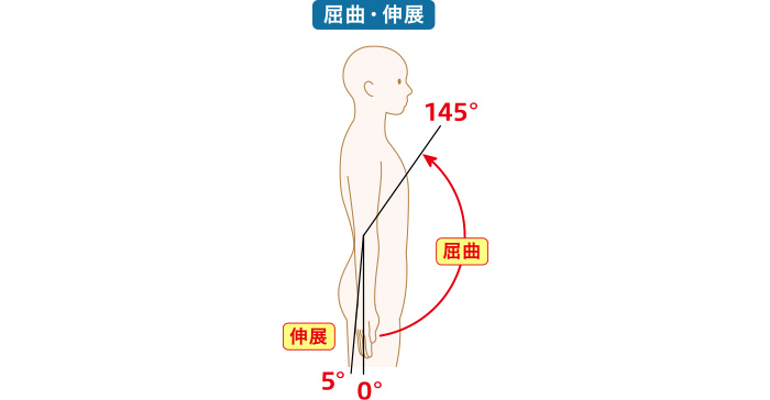 ひじ関節の可動域測定の図