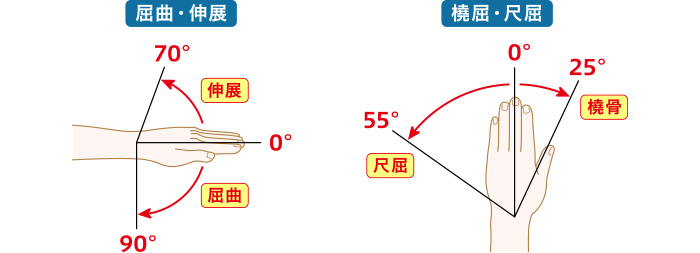 手関節（手首）の可動域測定の図