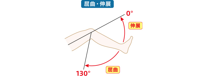 ひざ関節の可動域測定の図