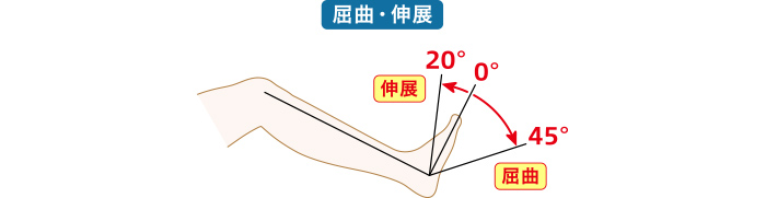 足関節(足首)の可動域測定の図