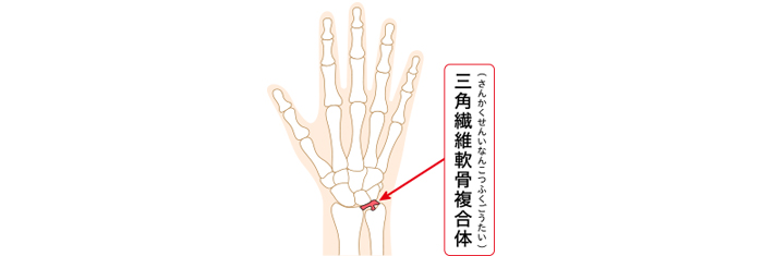 三角線維軟骨複合体の図