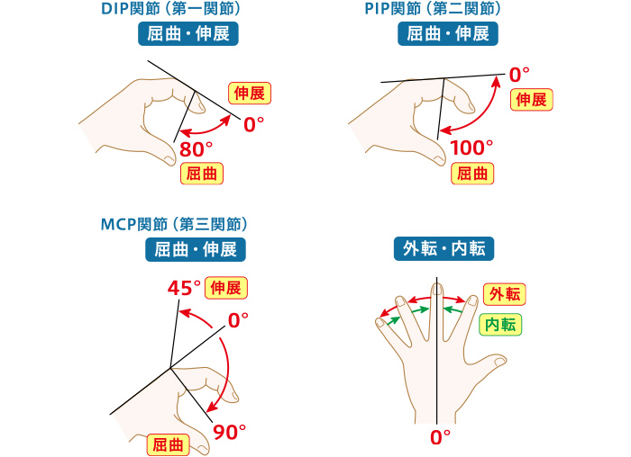 親指以外の指の可動域測定の図