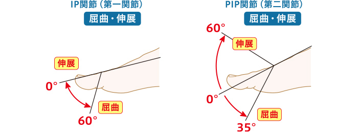 親指の可動域測定の図