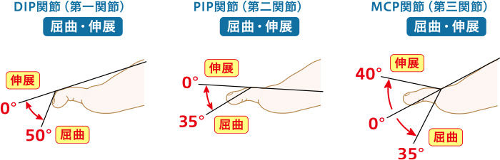 親指以外の指の可動域測定の図